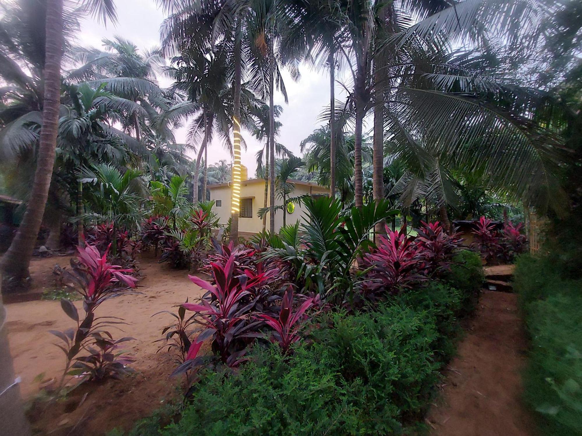 Areca Nest Βίλα Gokarna  Εξωτερικό φωτογραφία