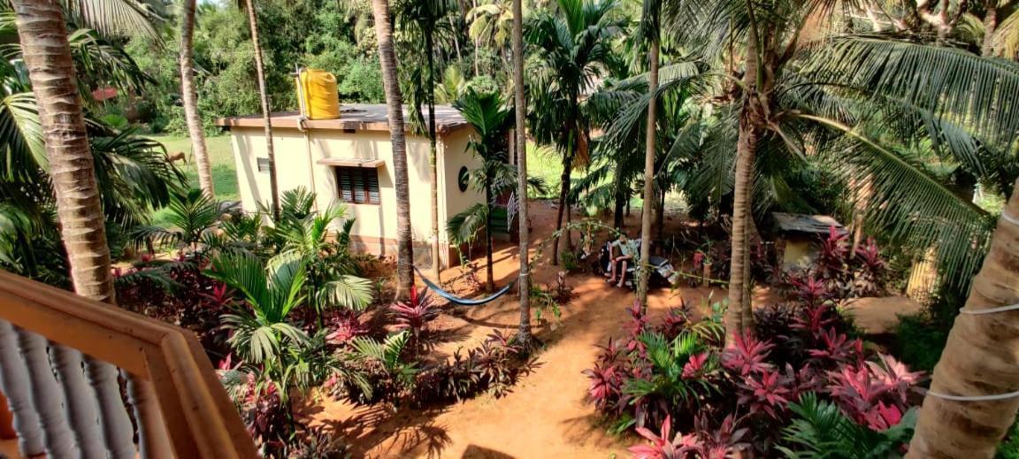 Areca Nest Βίλα Gokarna  Εξωτερικό φωτογραφία